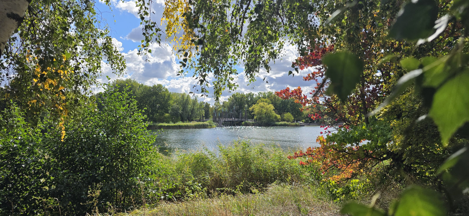 Britzer Garten