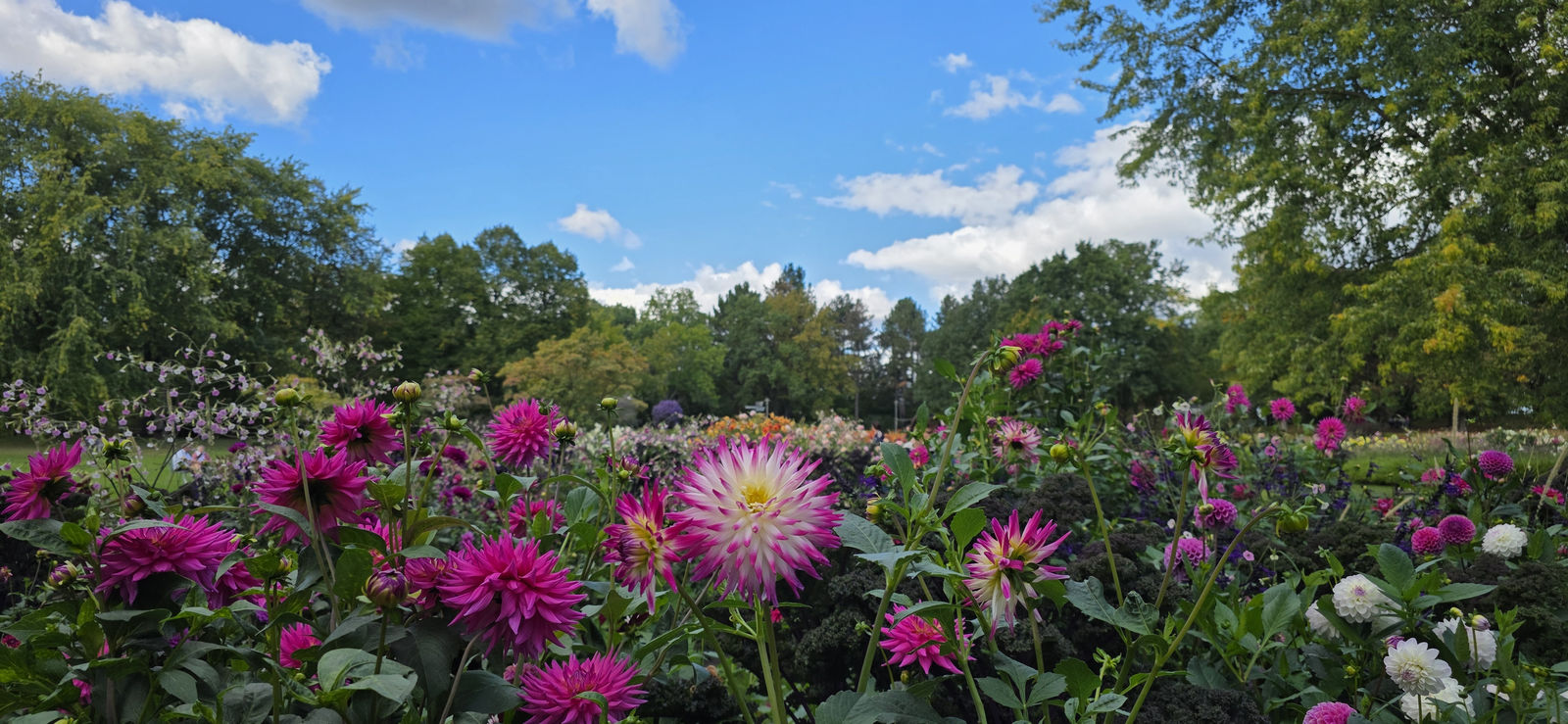 Britzer Garten Berlin