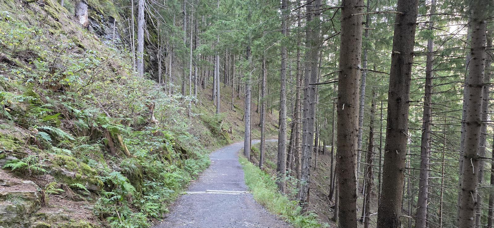 Raggaschlucht Kärnten